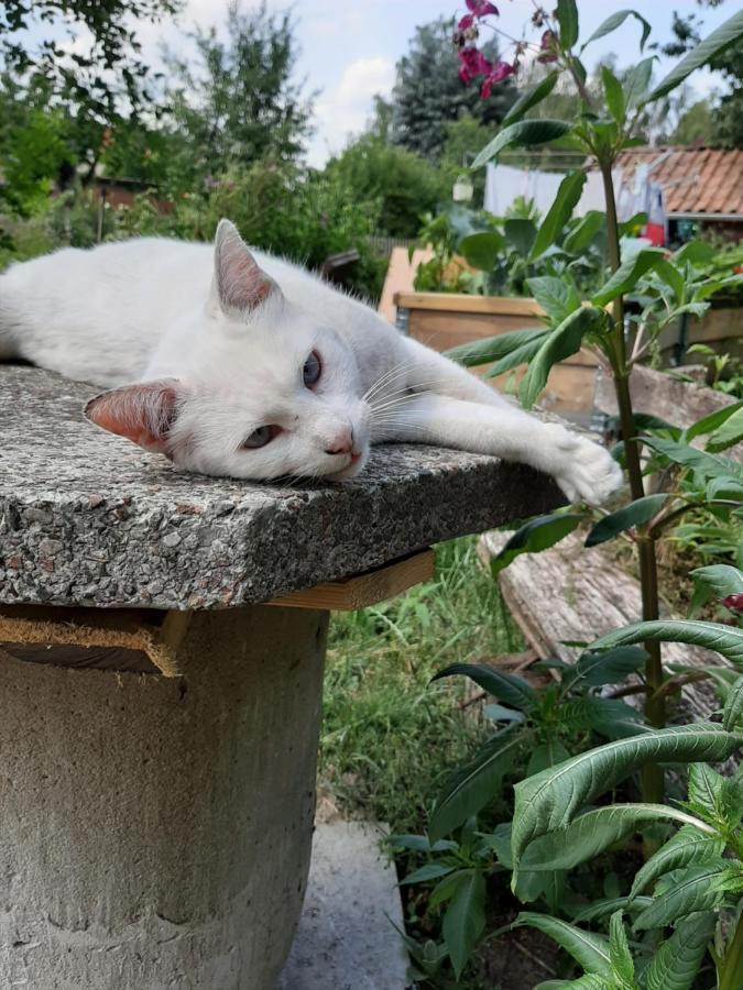 Ferienzimmer Sudheide Beckedorf  Exteriör bild