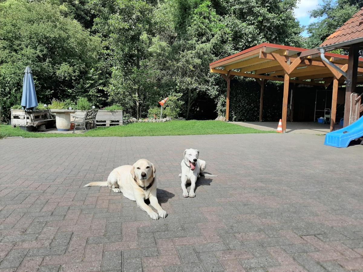 Ferienzimmer Sudheide Beckedorf  Exteriör bild